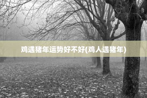 鸡遇猪年运势好不好(鸡人遇猪年)