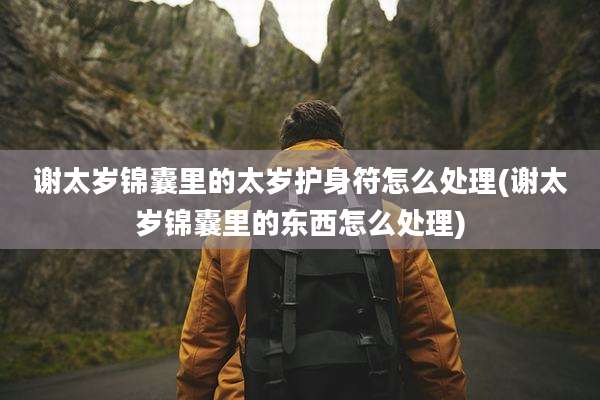 谢太岁锦囊里的太岁护身符怎么处理(谢太岁锦囊里的东西怎么处理)