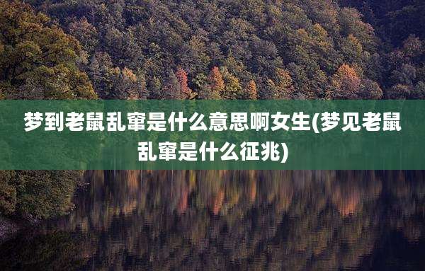 梦到老鼠乱窜是什么意思啊女生(梦见老鼠乱窜是什么征兆)