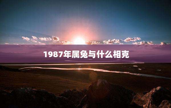 1987年属兔与什么相克