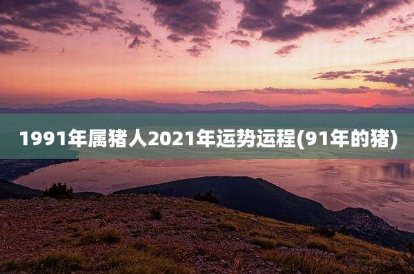 1991年属猪人2021年运势运程(91年的猪)