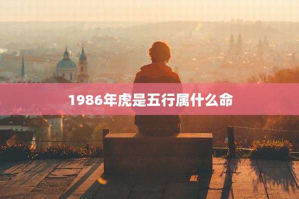 1986年虎是五行属什么命