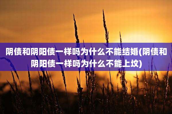 阴债和阴阳债一样吗为什么不能结婚(阴债和阴阳债一样吗为什么不能上坟)