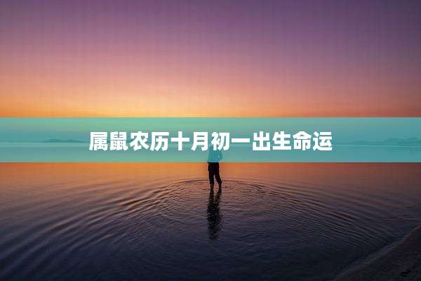属鼠农历十月初一出生命运
