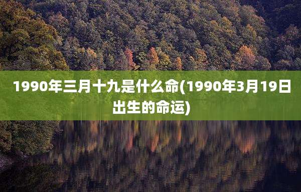 1990年三月十九是什么命(1990年3月19日出生的命运)