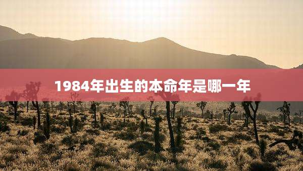 1984年出生的本命年是哪一年