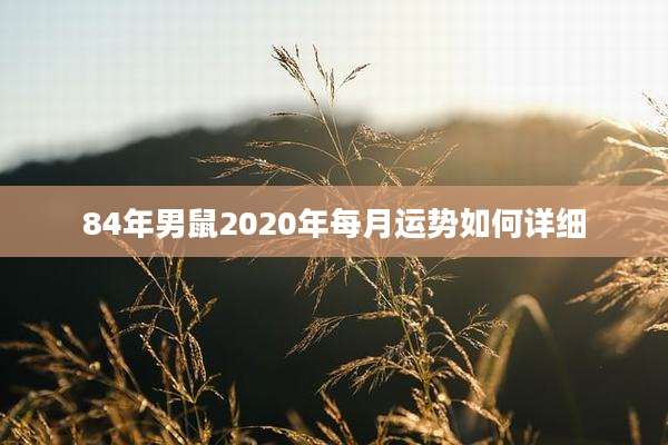 84年男鼠2020年每月运势如何详细