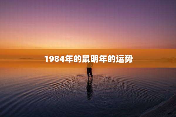 1984年的鼠明年的运势