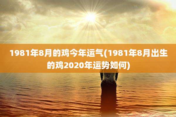 1981年8月的鸡今年运气(1981年8月出生的鸡2020年运势如何)