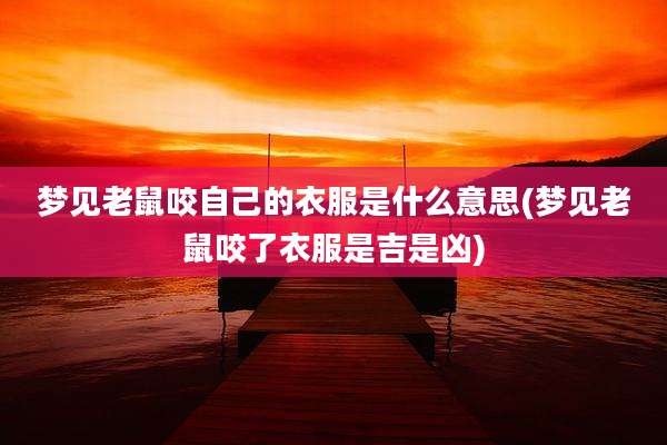 梦见老鼠咬自己的衣服是什么意思(梦见老鼠咬了衣服是吉是凶)
