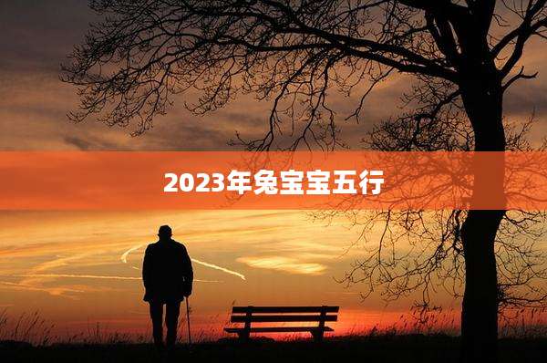 2023年兔宝宝五行