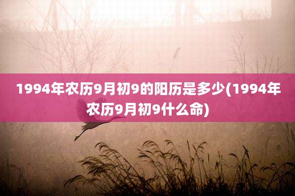 1994年农历9月初9的阳历是多少(1994年农历9月初9什么命)