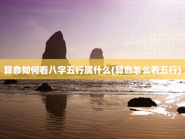 算命如何看八字五行属什么(算命怎么看五行)