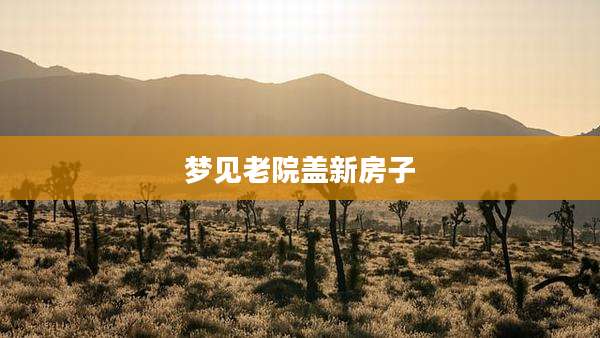 梦见老院盖新房子