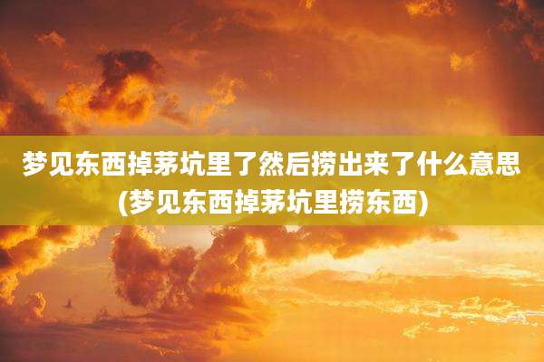梦见东西掉茅坑里了然后捞出来了什么意思(梦见东西掉茅坑里捞东西)