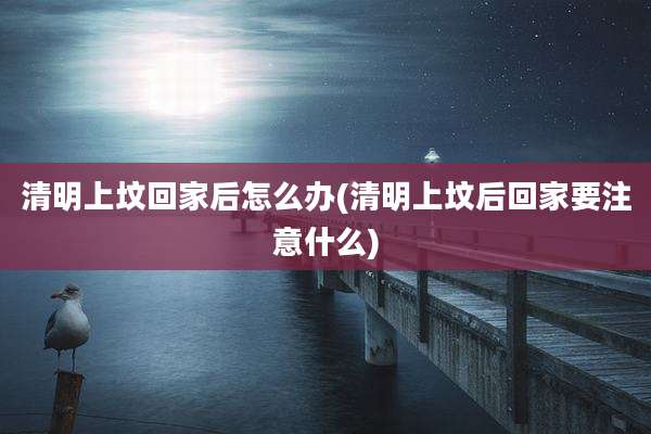 清明上坟回家后怎么办(清明上坟后回家要注意什么)