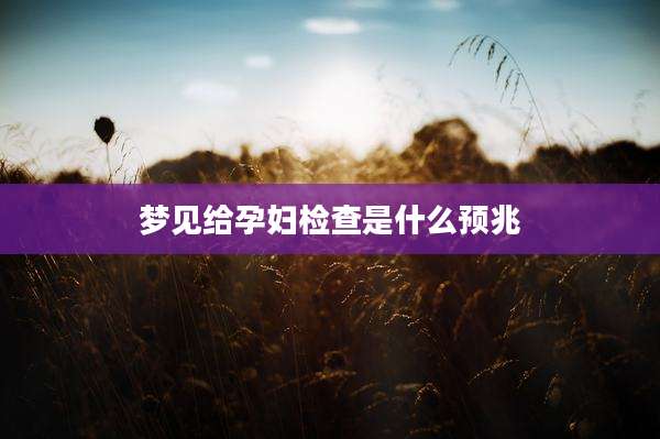 梦见给孕妇检查是什么预兆