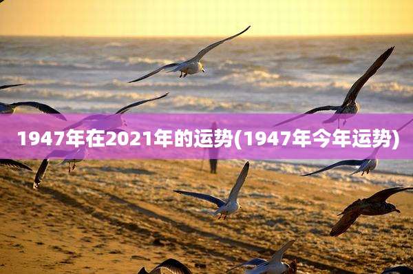 1947年在2021年的运势(1947年今年运势)