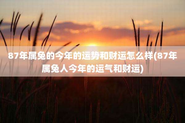 87年属兔的今年的运势和财运怎么样(87年属兔人今年的运气和财运)