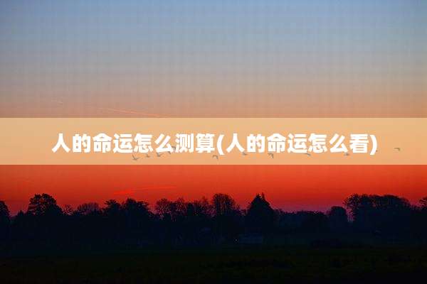人的命运怎么测算(人的命运怎么看)