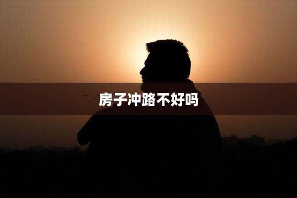 房子冲路不好吗