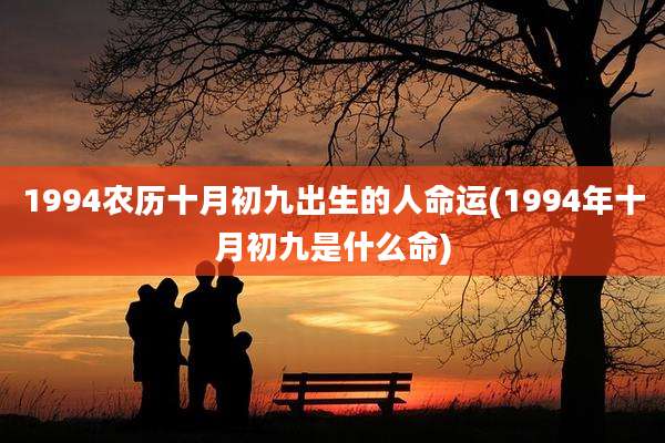 1994农历十月初九出生的人命运(1994年十月初九是什么命)