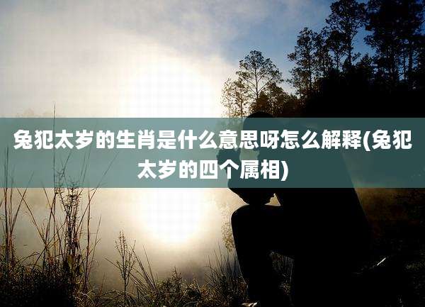 兔犯太岁的生肖是什么意思呀怎么解释(兔犯太岁的四个属相)