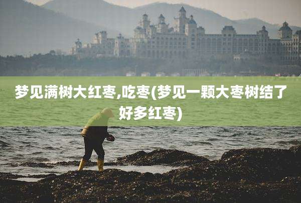 梦见满树大红枣,吃枣(梦见一颗大枣树结了好多红枣)