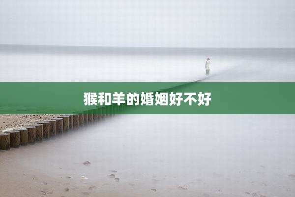猴和羊的婚姻好不好