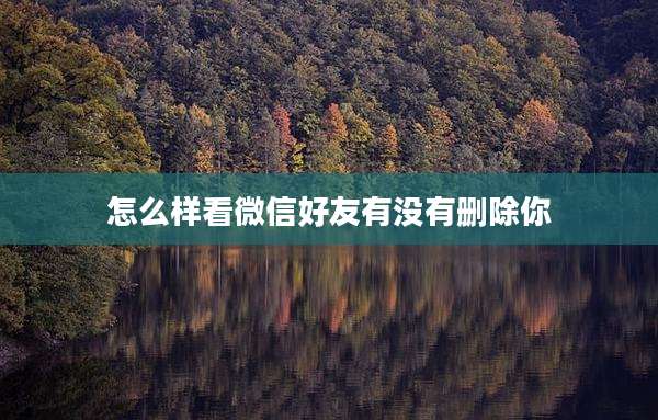 怎么样看微信好友有没有删除你