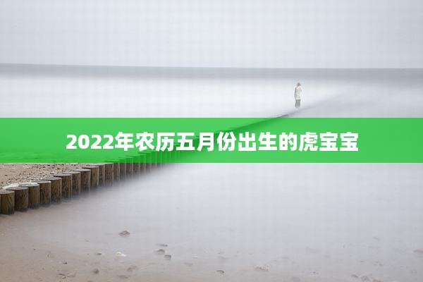 2022年农历五月份出生的虎宝宝
