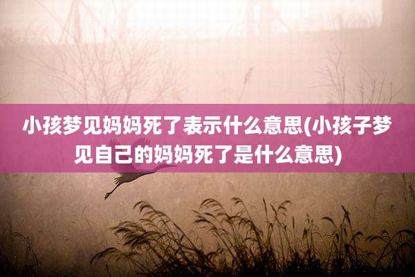 小孩梦见妈妈死了表示什么意思(小孩子梦见自己的妈妈死了是什么意思)
