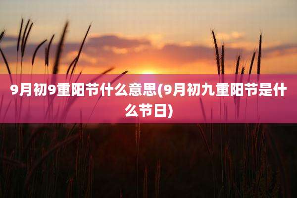 9月初9重阳节什么意思(9月初九重阳节是什么节日)