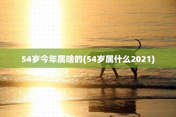 54岁今年属啥的(54岁属什么2021)