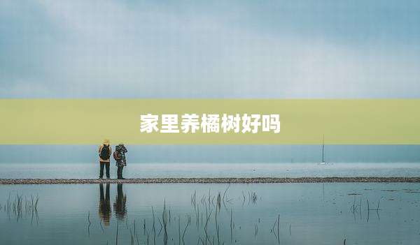 家里养橘树好吗