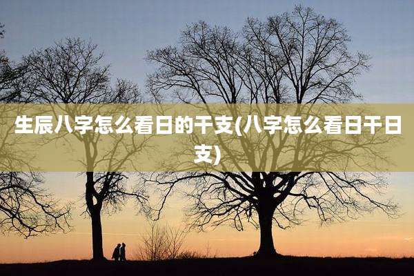 生辰八字怎么看日的干支(八字怎么看日干日支)