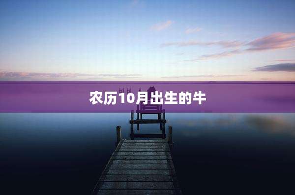 农历10月出生的牛