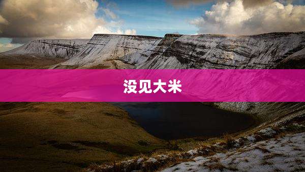 没见大米
