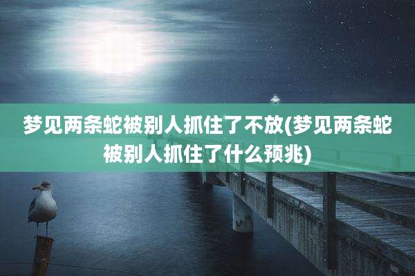 梦见两条蛇被别人抓住了不放(梦见两条蛇被别人抓住了什么预兆)