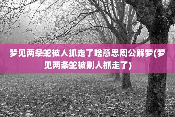 梦见两条蛇被人抓走了啥意思周公解梦(梦见两条蛇被别人抓走了)