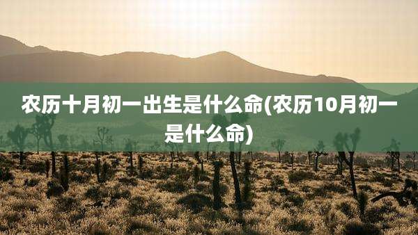 农历十月初一出生是什么命(农历10月初一是什么命)