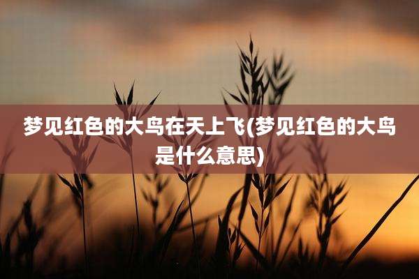梦见红色的大鸟在天上飞(梦见红色的大鸟是什么意思)