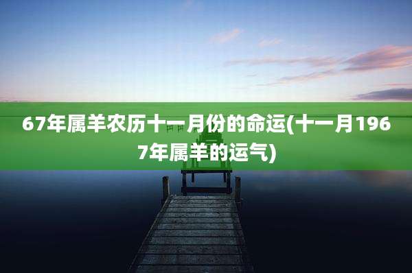 67年属羊农历十一月份的命运(十一月1967年属羊的运气)