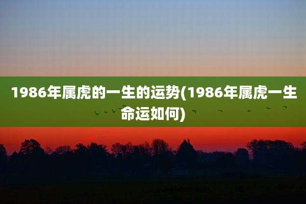 1986年属虎的一生的运势(1986年属虎一生命运如何)