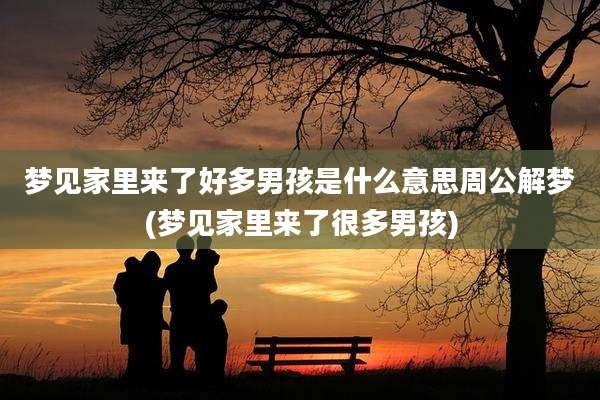 梦见家里来了好多男孩是什么意思周公解梦(梦见家里来了很多男孩)