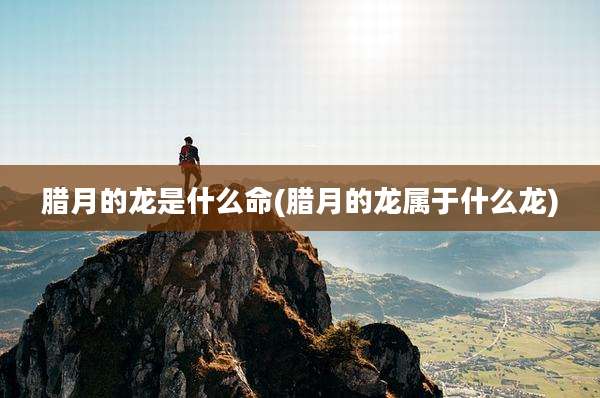 腊月的龙是什么命(腊月的龙属于什么龙)