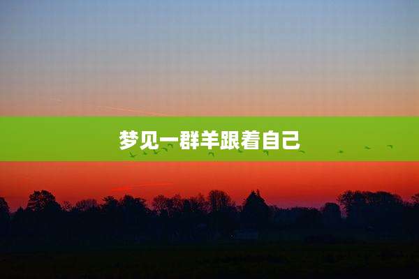 梦见一群羊跟着自己