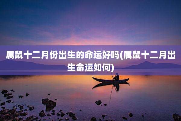 属鼠十二月份出生的命运好吗(属鼠十二月出生命运如何)