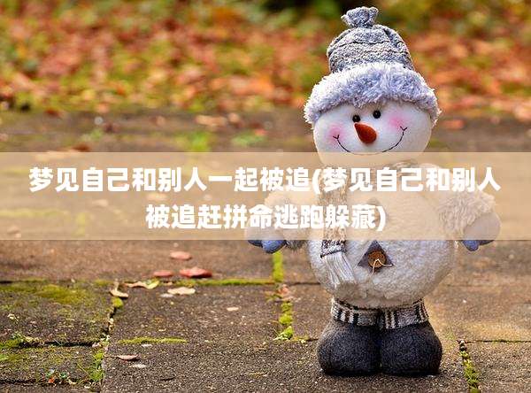 梦见自己和别人一起被追(梦见自己和别人被追赶拼命逃跑躲藏)
