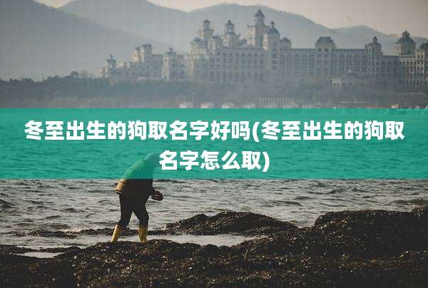 冬至出生的狗取名字好吗(冬至出生的狗取名字怎么取)